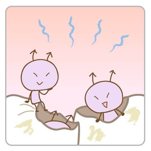 乳歯に穴があるのは虫歯？