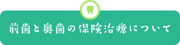 前歯と奥歯の保険治療について
